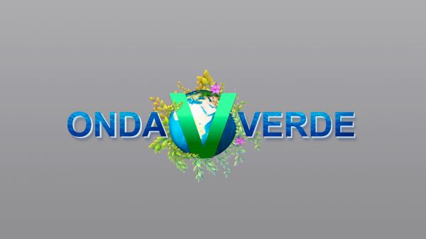 Onda Verde | T: 2023 | 11.03