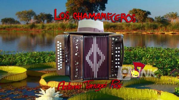 Chamameceros | T: 2024 | 25.05