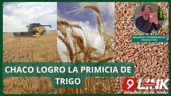 CHACO LOGRO LA PRIMICIA DE TRIGO